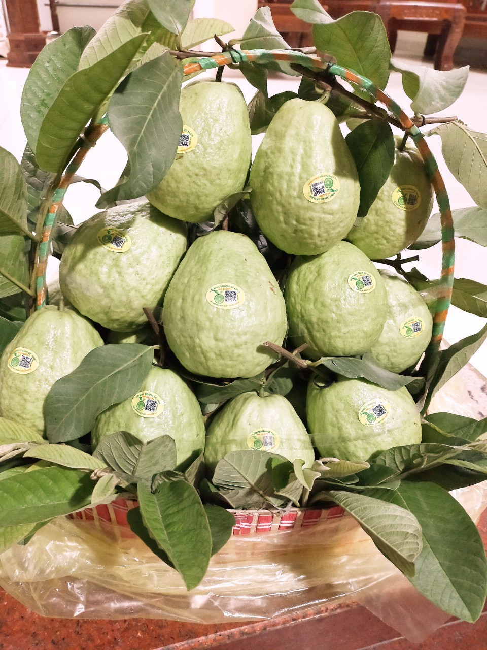 Product Info Image 2